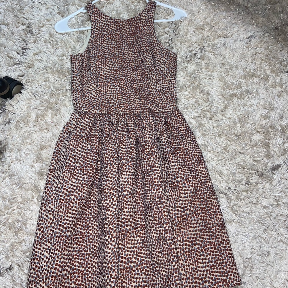 Zara dress